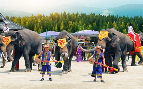 西雙版納野象谷2