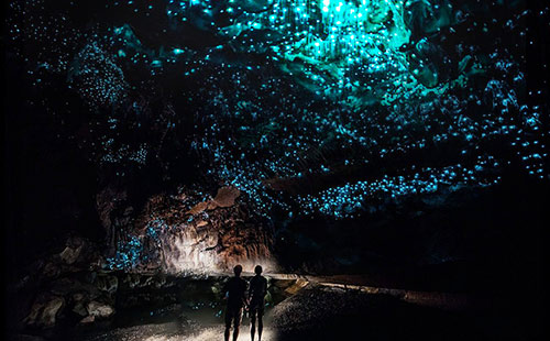 新西蘭懷多摩螢火蟲洞3